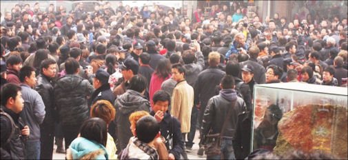 20111030-Human rights in China Wangfujing Street5.jpg